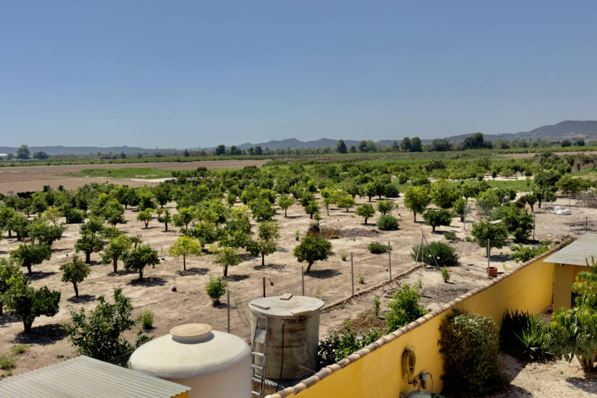 Revente - Finca / Propriété rurale - Orihuela