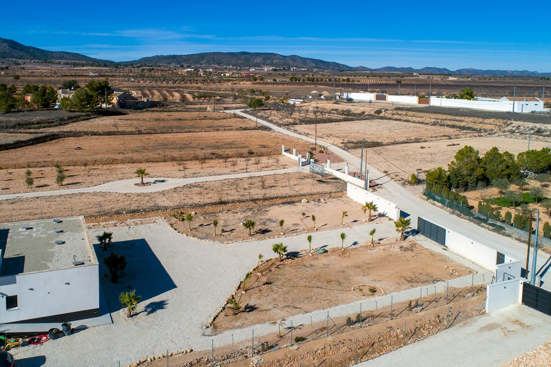 Revente - Finca / Propriété rurale - Pinoso - Campo