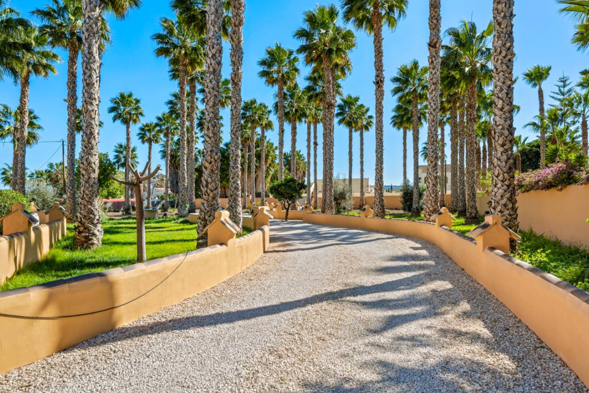 Revente - Finca / Propriété rurale - Rafal