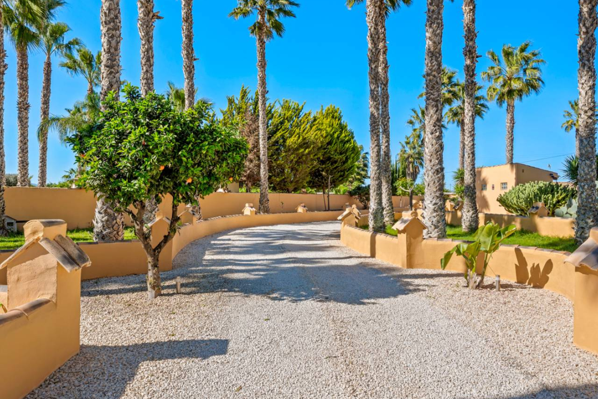 Revente - Finca / Propriété rurale - Rafal