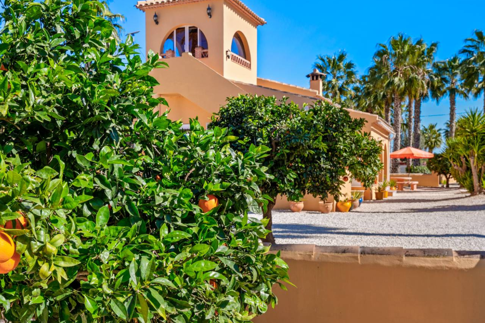 Revente - Finca / Propriété rurale - Rafal