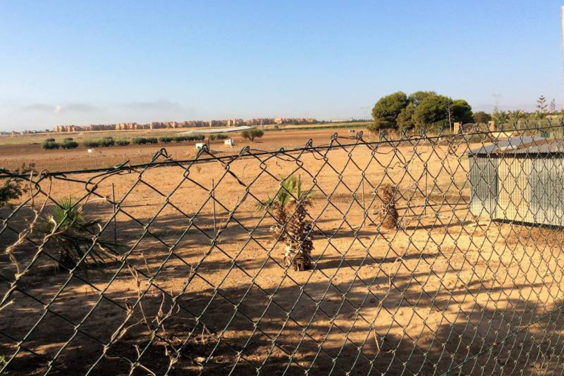 Revente - Finca / Propriété rurale - Torre Pacheco - Los Meroños