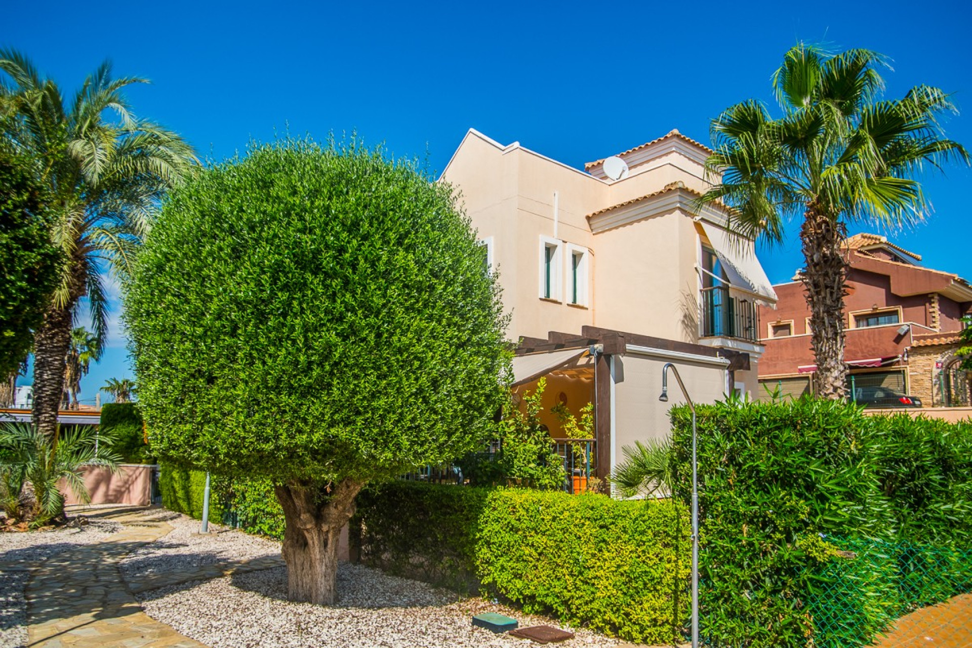 Revente - Finca / Propriété rurale - Torrevieja - Los Balcones