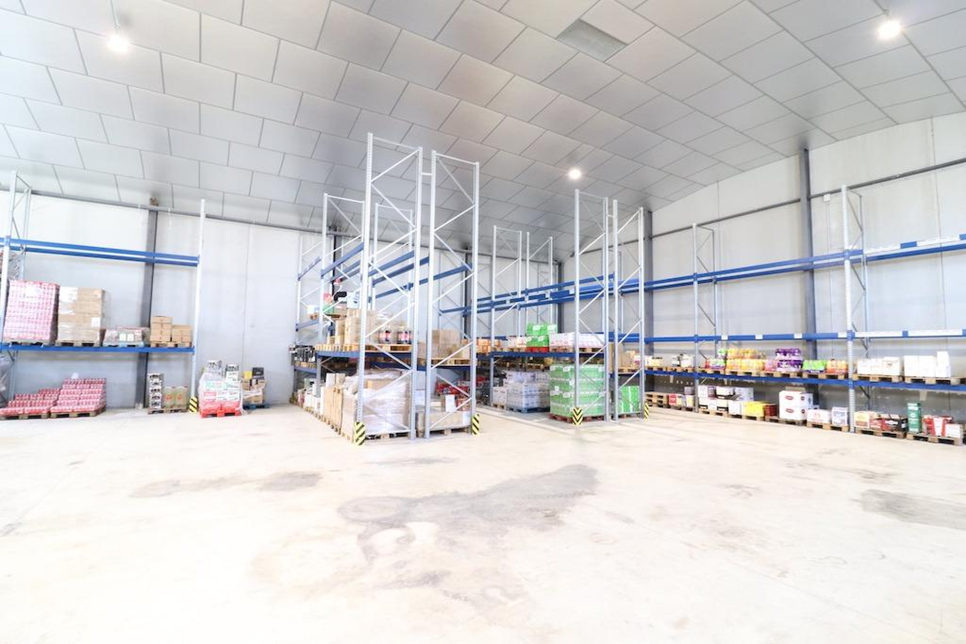 Revente - Industrial unit - Montesinos - Centro