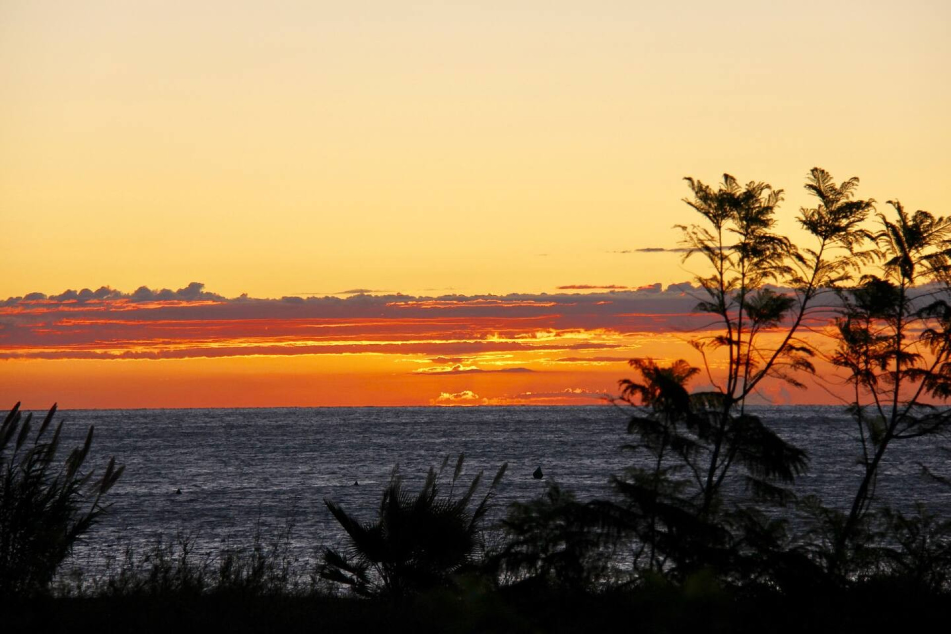 Revente - Maison de ville - Altea