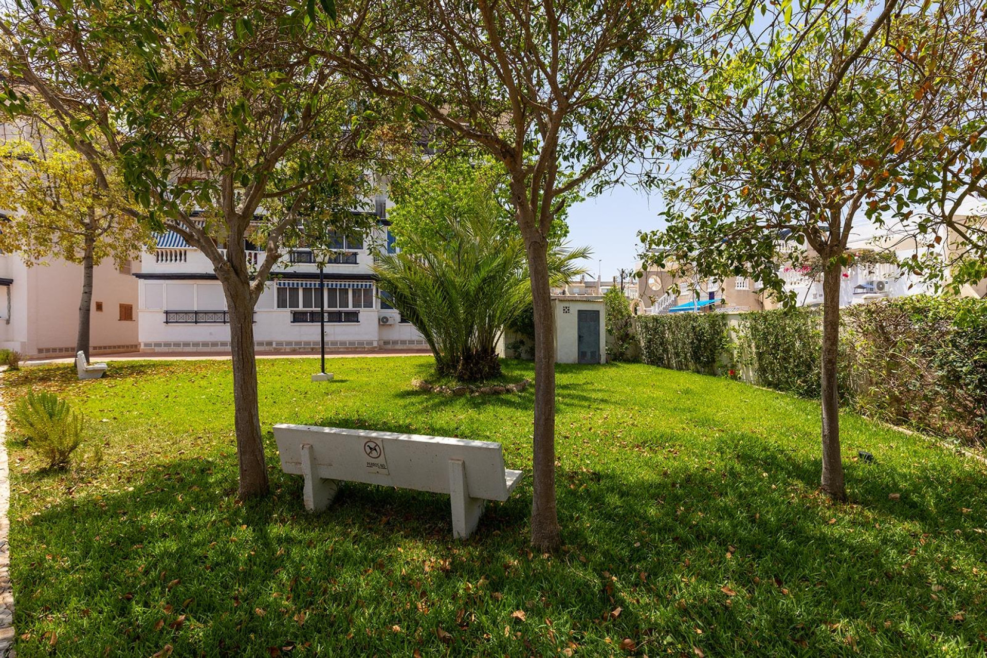 Revente - Maison de ville - Torrevieja - La Mata