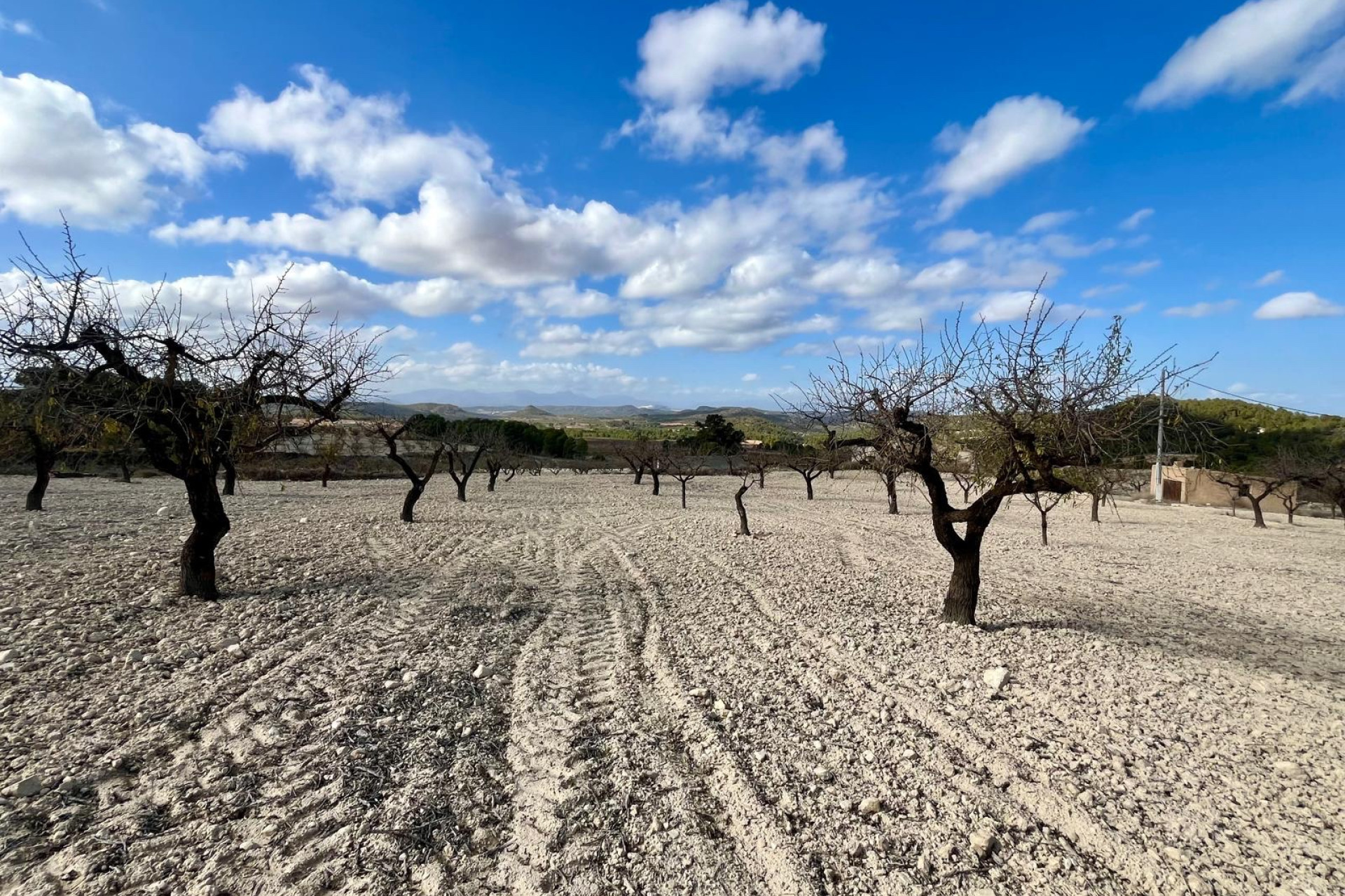 Revente - Parcelle / Terrain - Bullas - Costa Calida