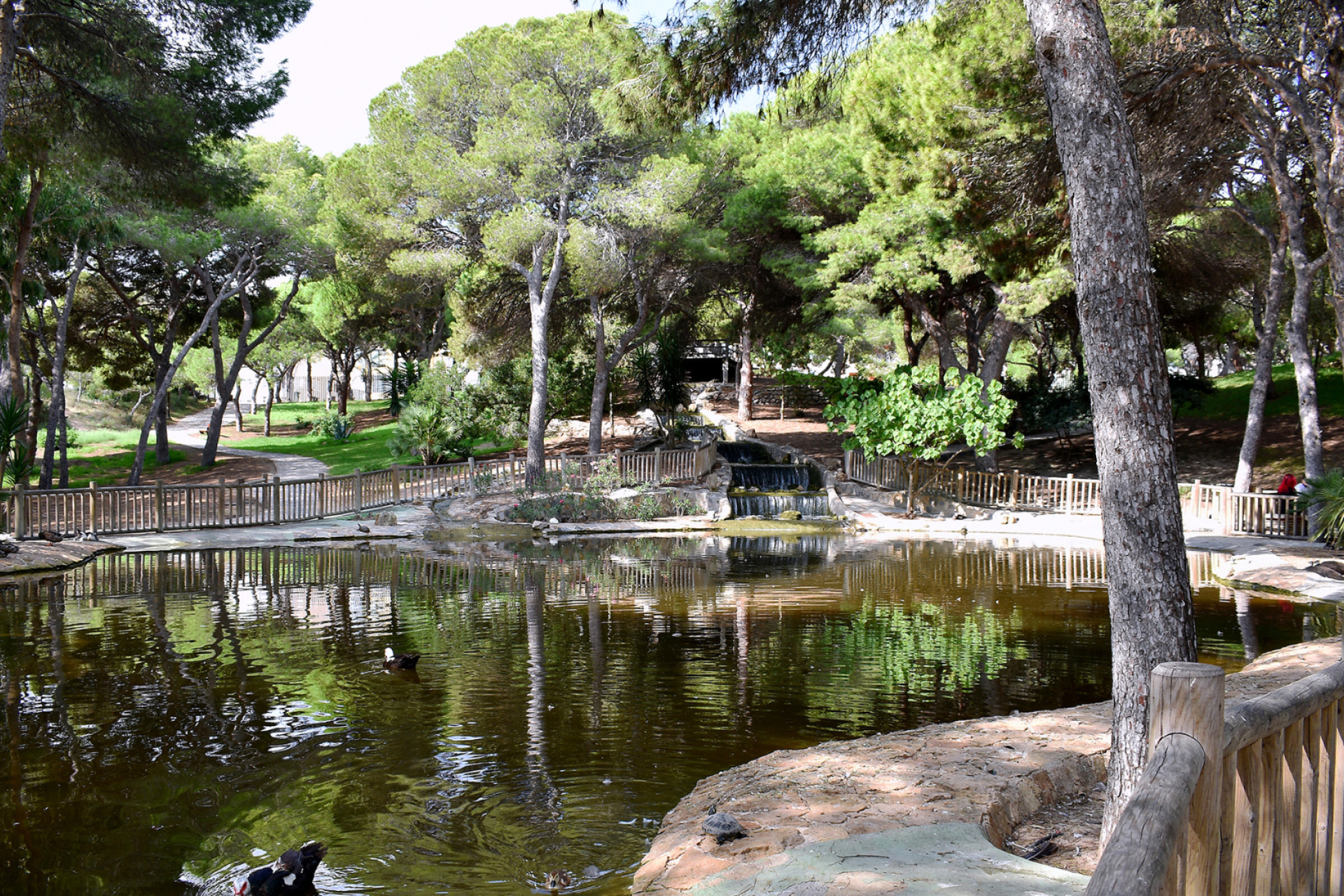Revente - Parcelle / Terrain - Guardamar del Segura - Guardamar Del Segura
