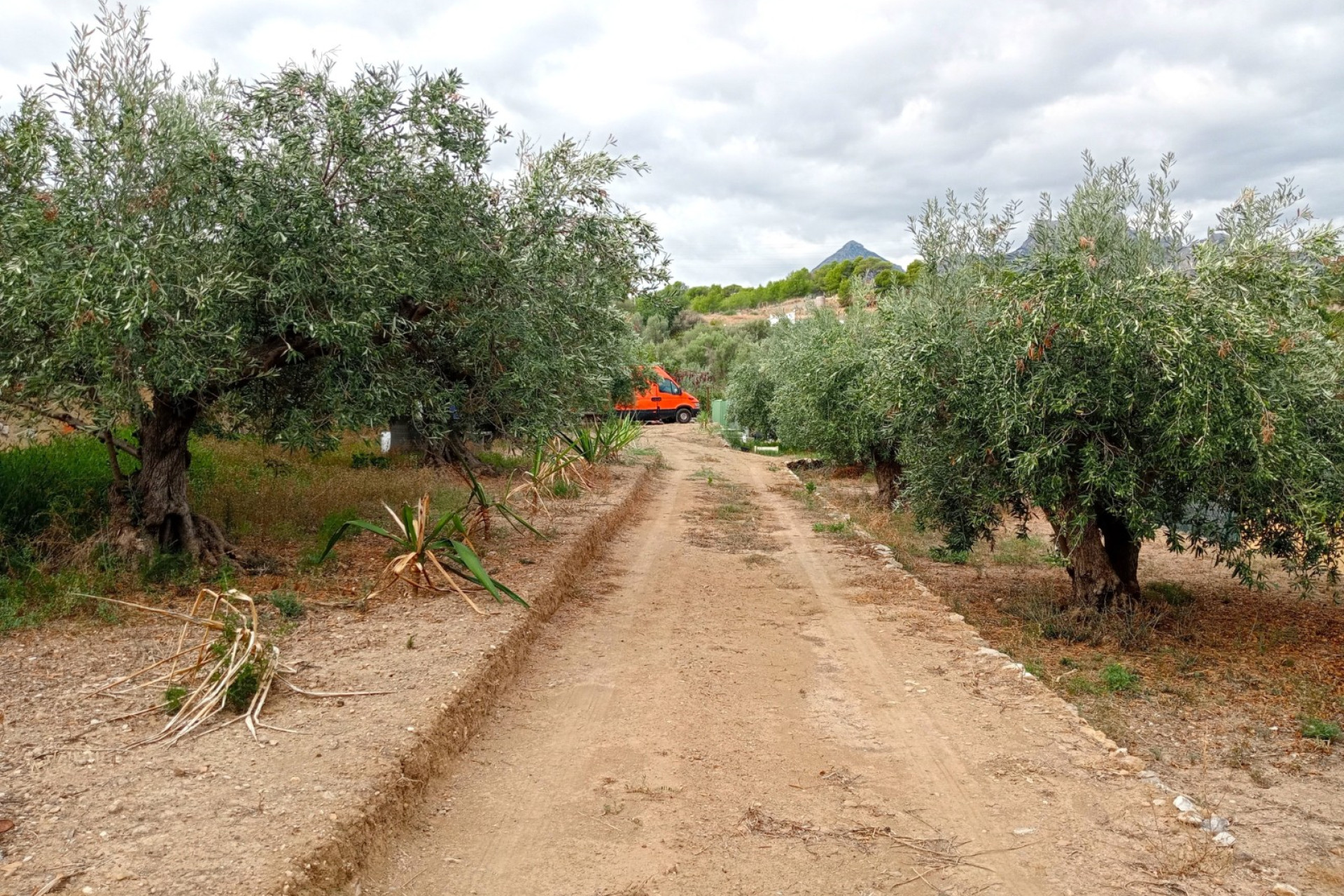 Revente - Parcelle / Terrain - La Nucía