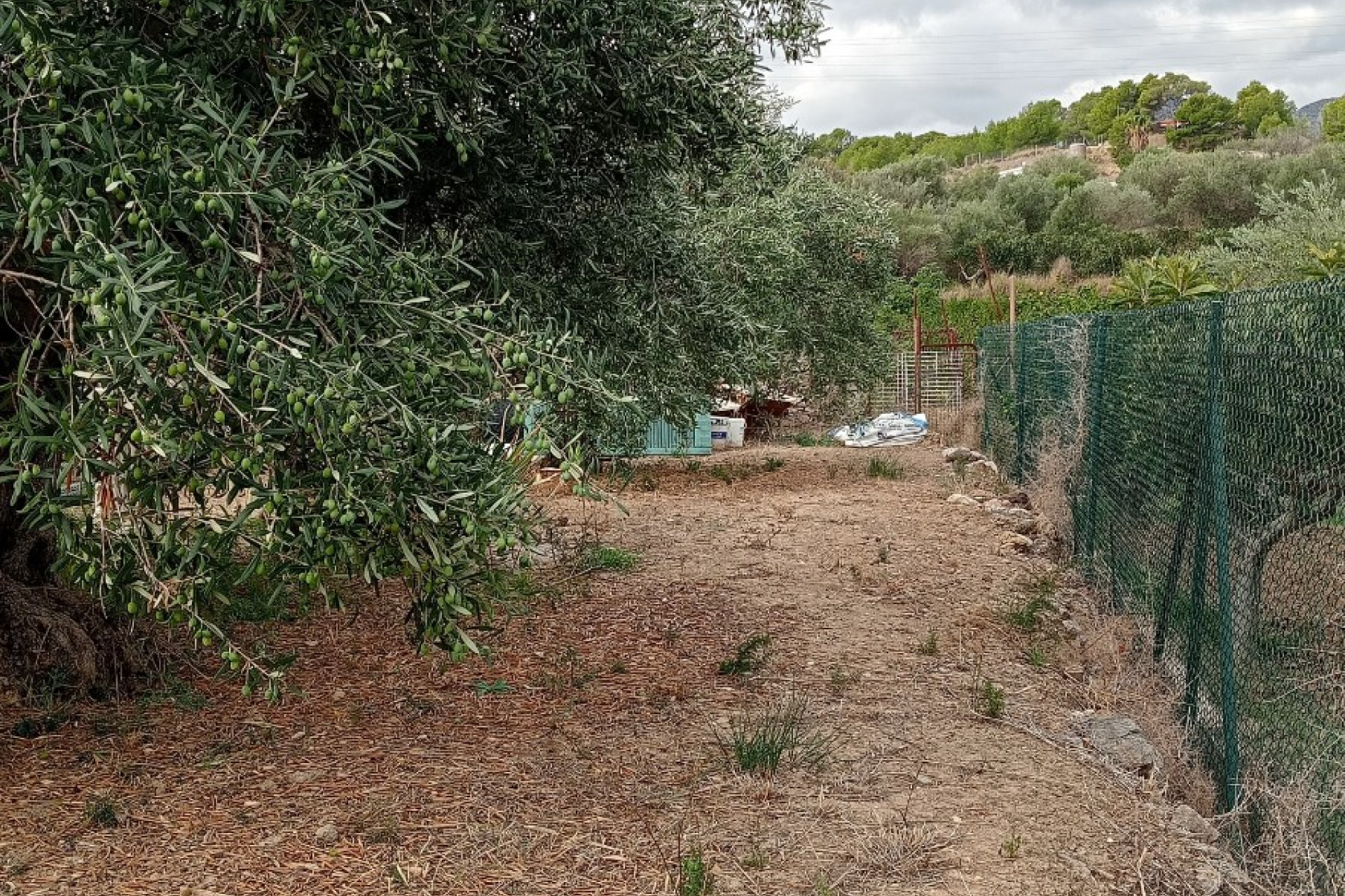 Revente - Parcelle / Terrain - La Nucía