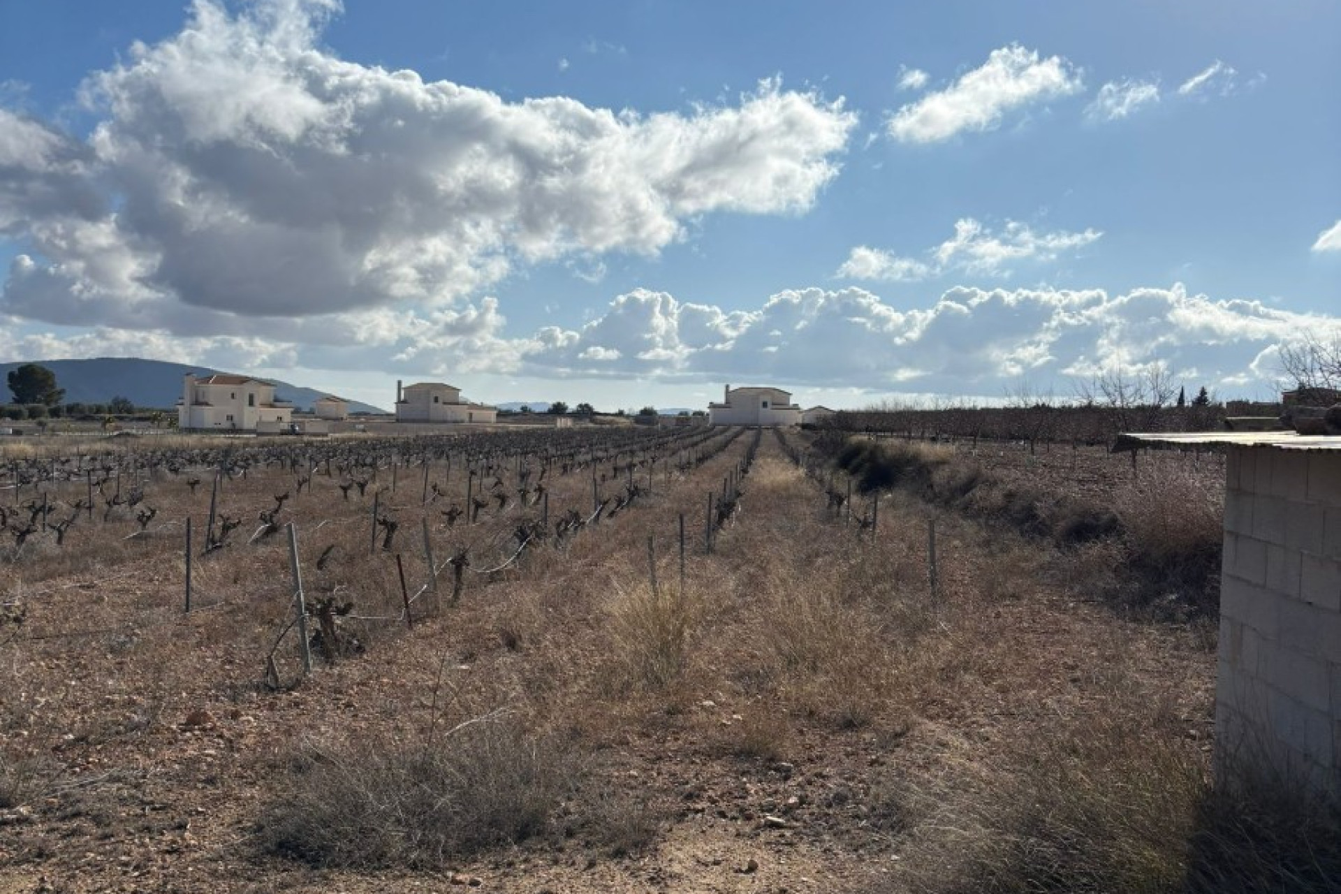 Revente - Parcelle / Terrain - Pinoso - el Pinós / Pinoso