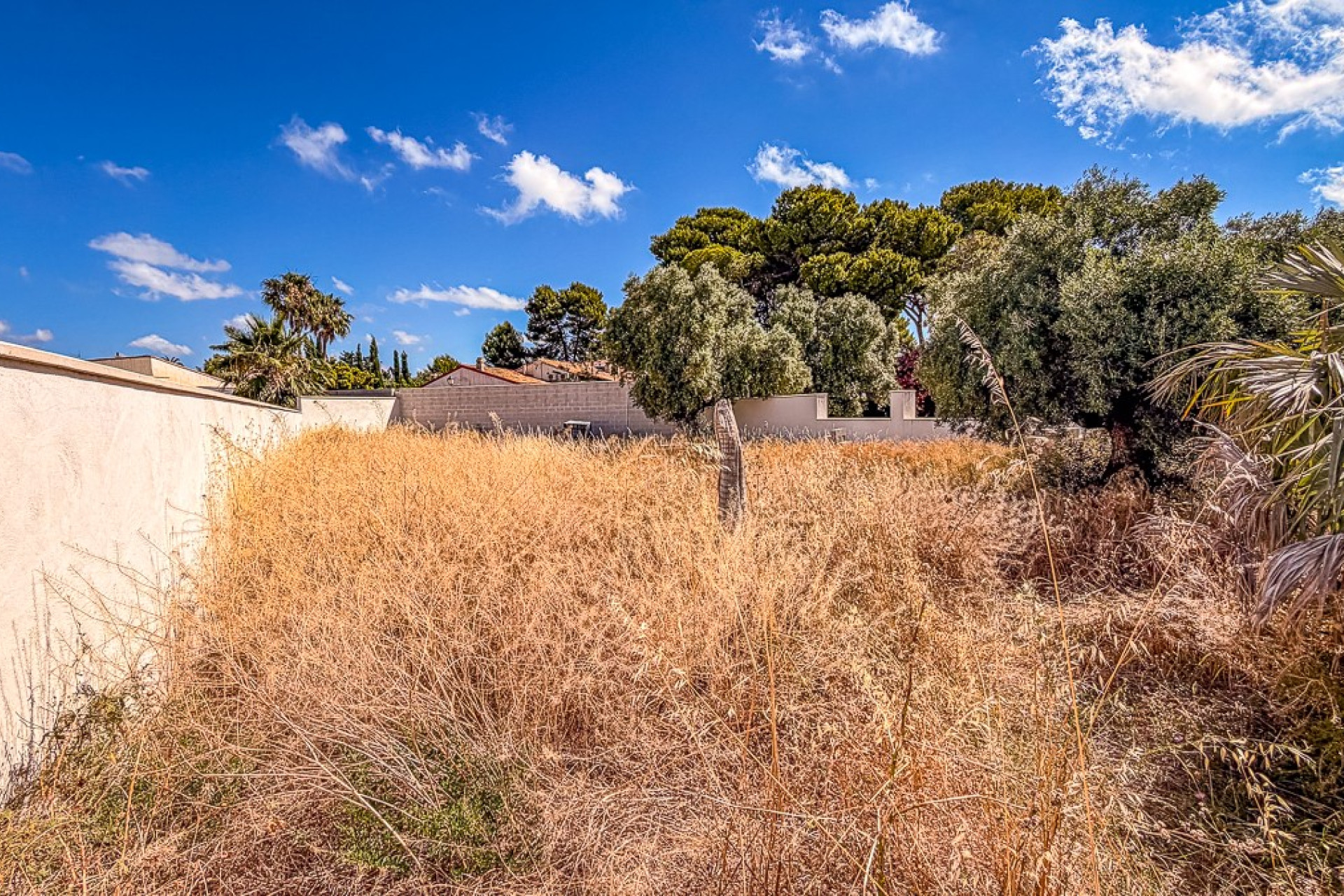 Revente - Parcelle / Terrain - SANTIAGO DE LA RIBERA - zona san blas