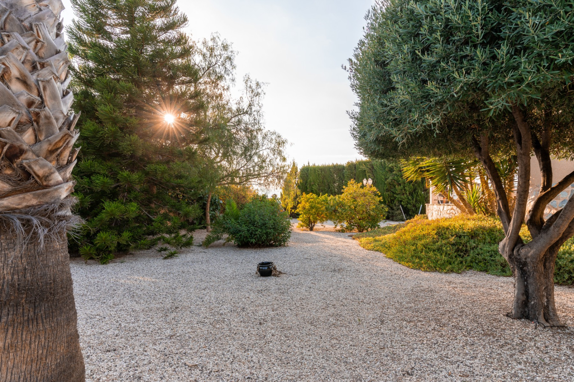 Revente - Villa - Busot