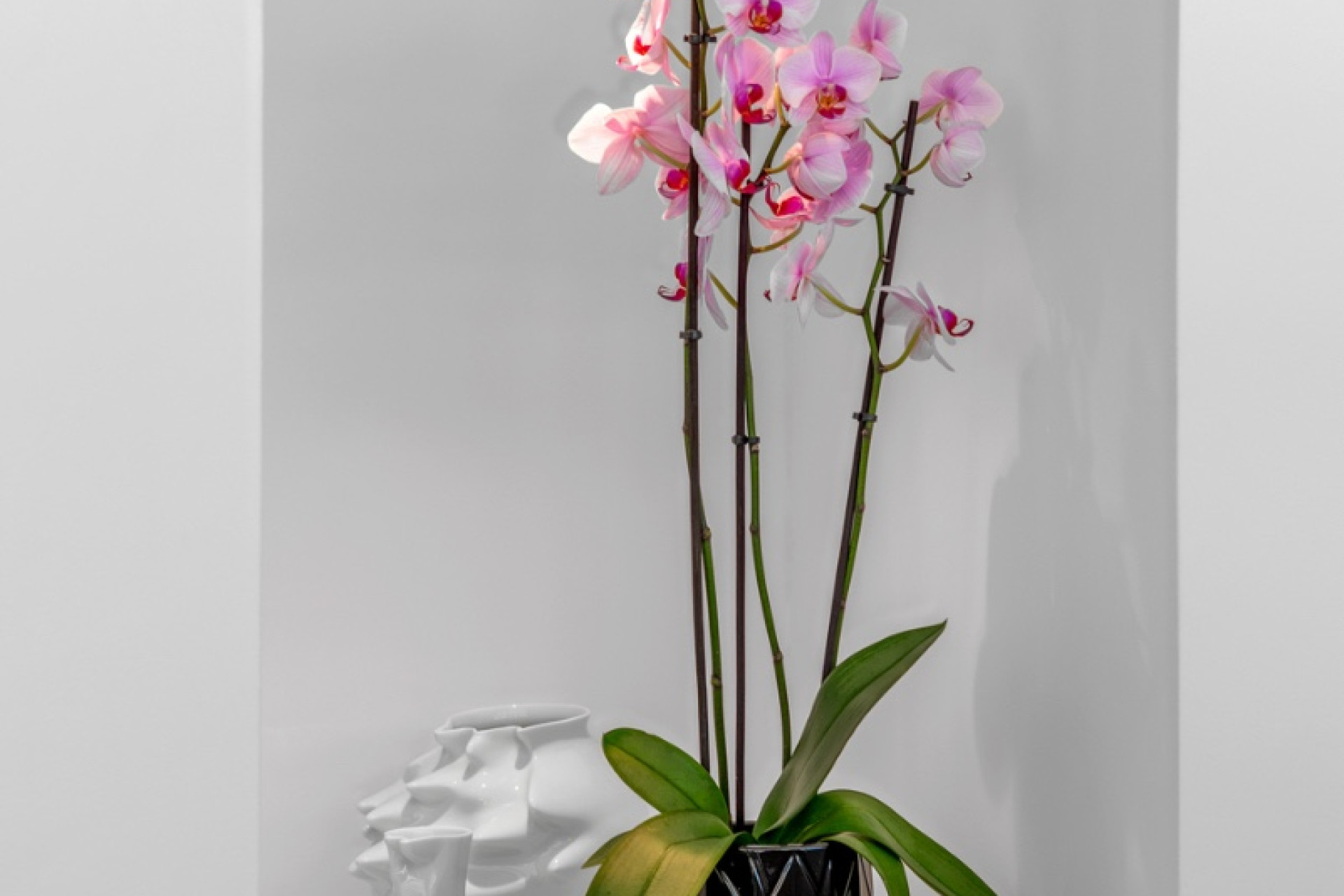 Revente - Villa - Guardamar del Segura - Guardamar Del Segura