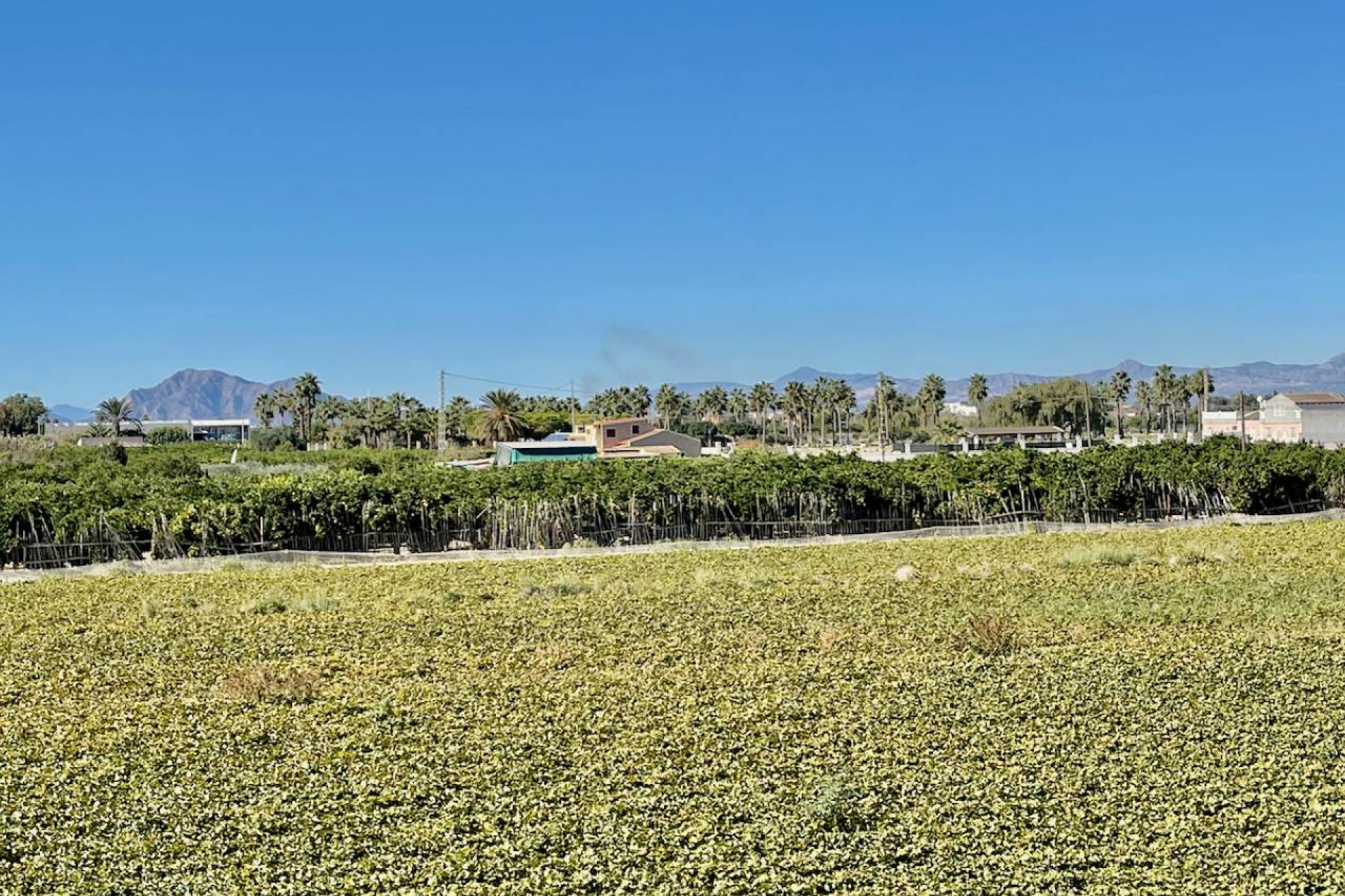 Revente - Villa - Guardamar del Segura - Guardamar Del Segura