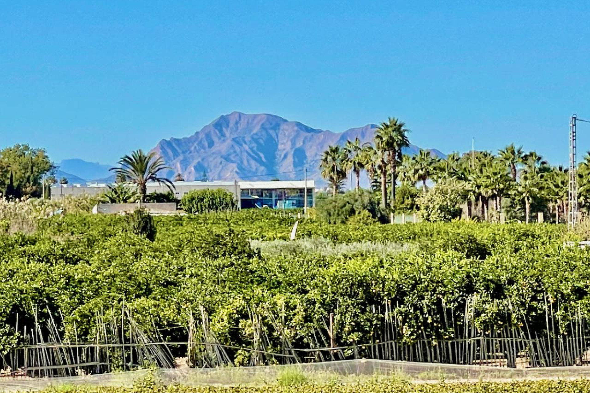 Revente - Villa - Guardamar del Segura - Guardamar Del Segura