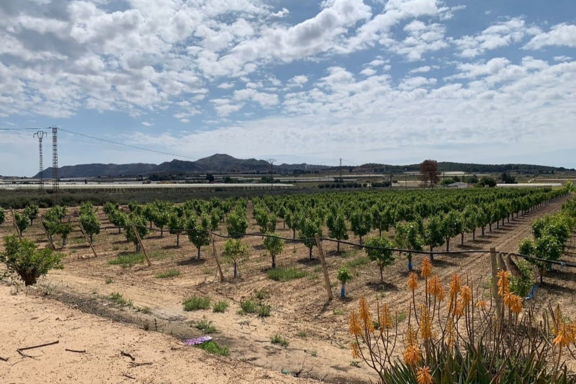 Revente - Villa - Monforte del Cid