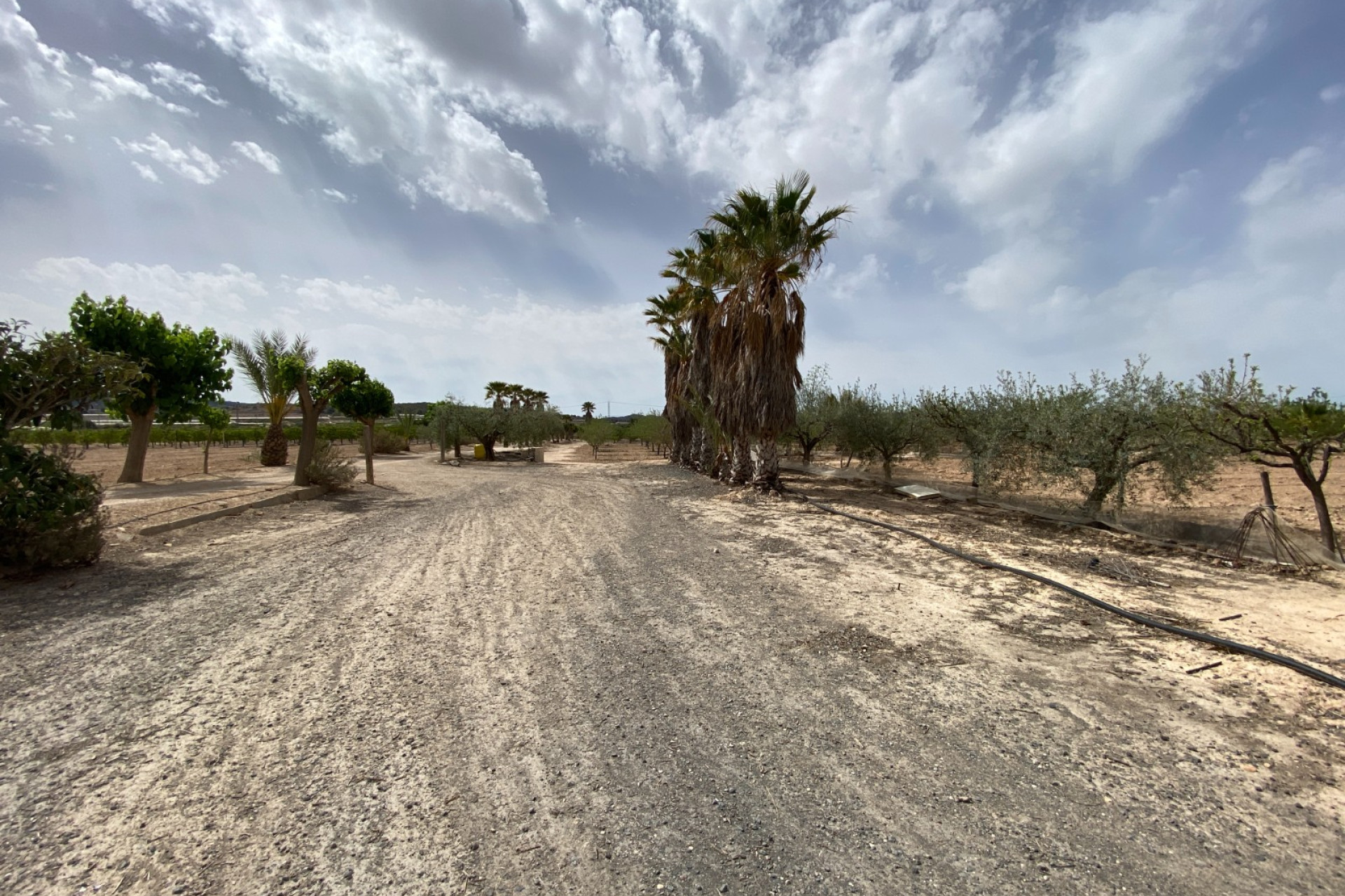 Revente - Villa - Monforte del Cid