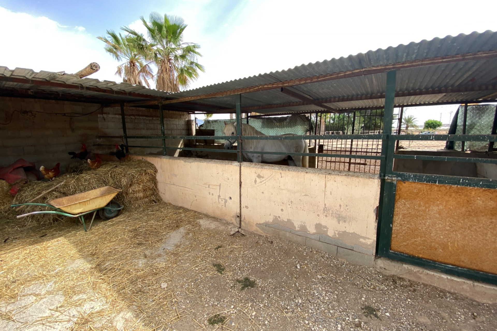 Revente - Villa - Monforte del Cid