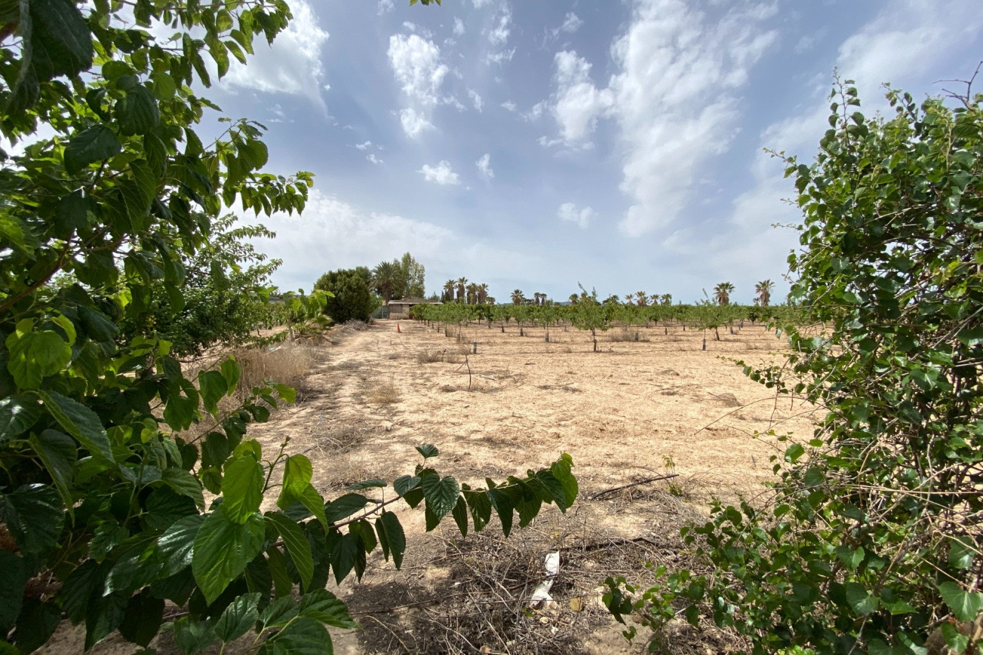 Revente - Villa - Monforte del Cid