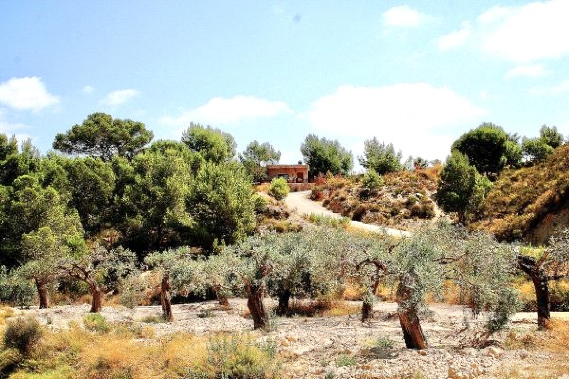 Revente - Villa - Murcia - Costa Blanca Sur