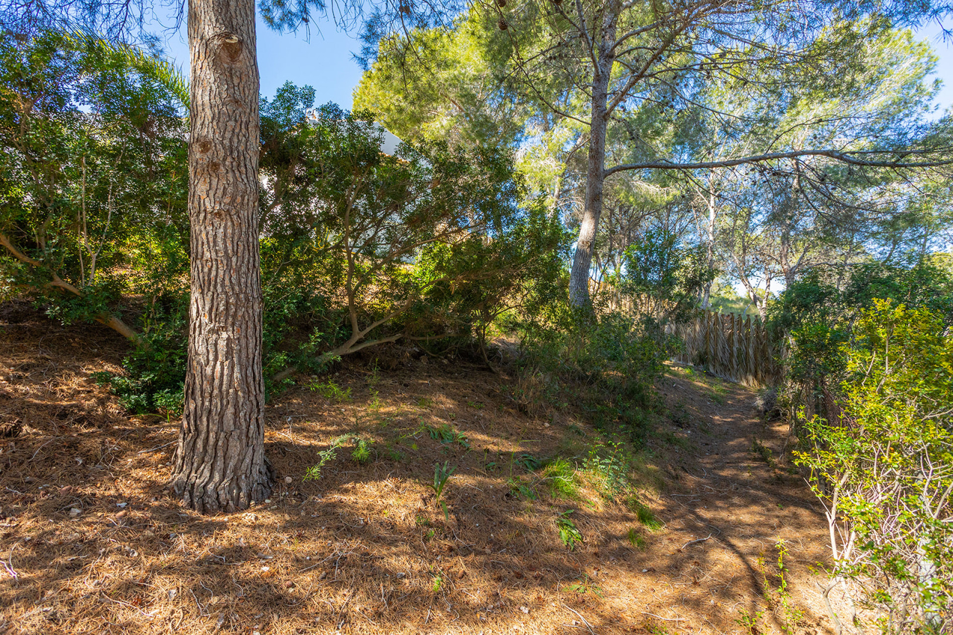 Revente - Villa - Orihuela - Orihuela Costa
