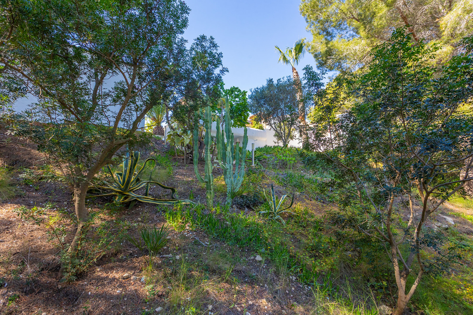 Revente - Villa - Orihuela - Orihuela Costa