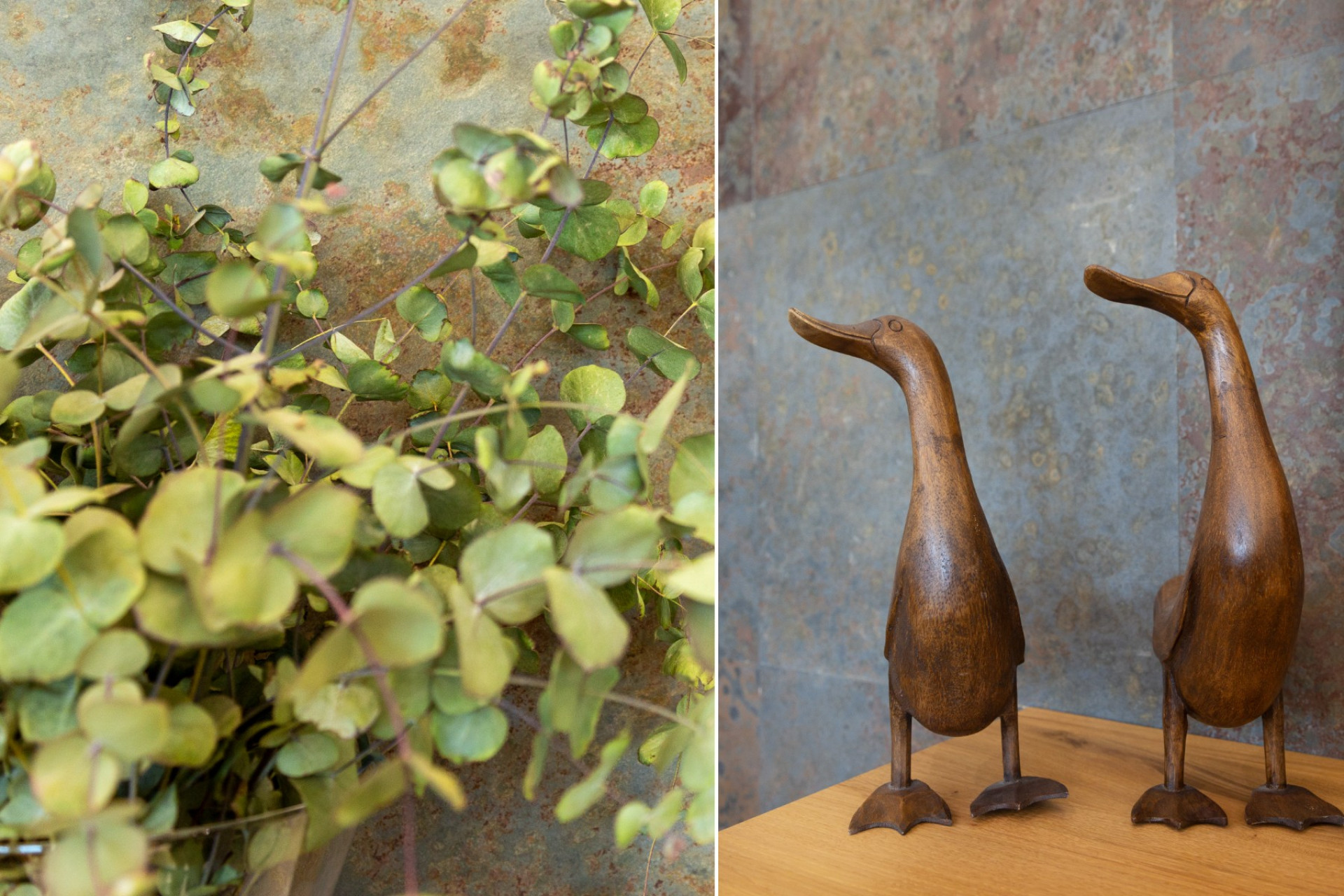 Revente - Villa - San Vicente del Raspeig - Los Girasoles