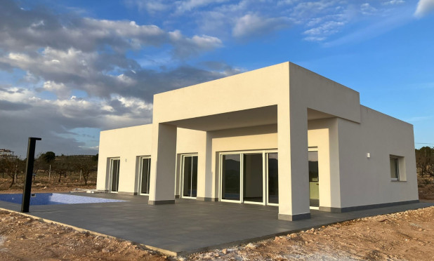 Villa - New Build - Pinoso - NB-53021