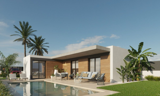 Villa - Nouvelle construction - Molina De Segura - Molina de Segura