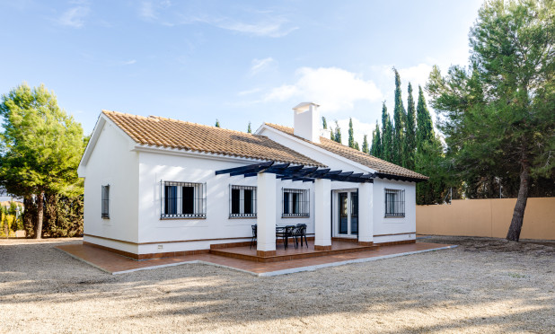 Villa - Obra nueva - Fuente Álamo - NB-31883