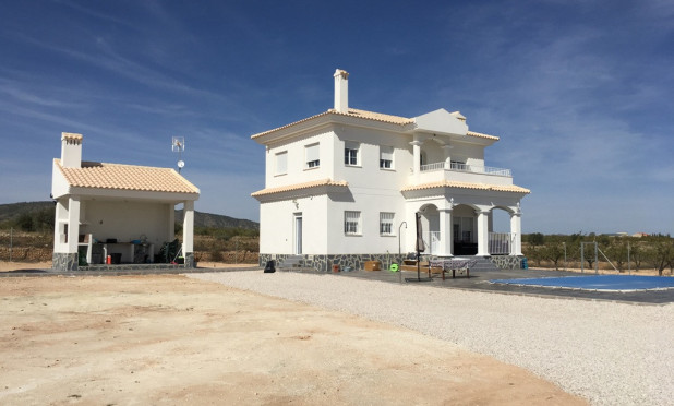 Villa - Obra nueva - Pinoso - Pinoso