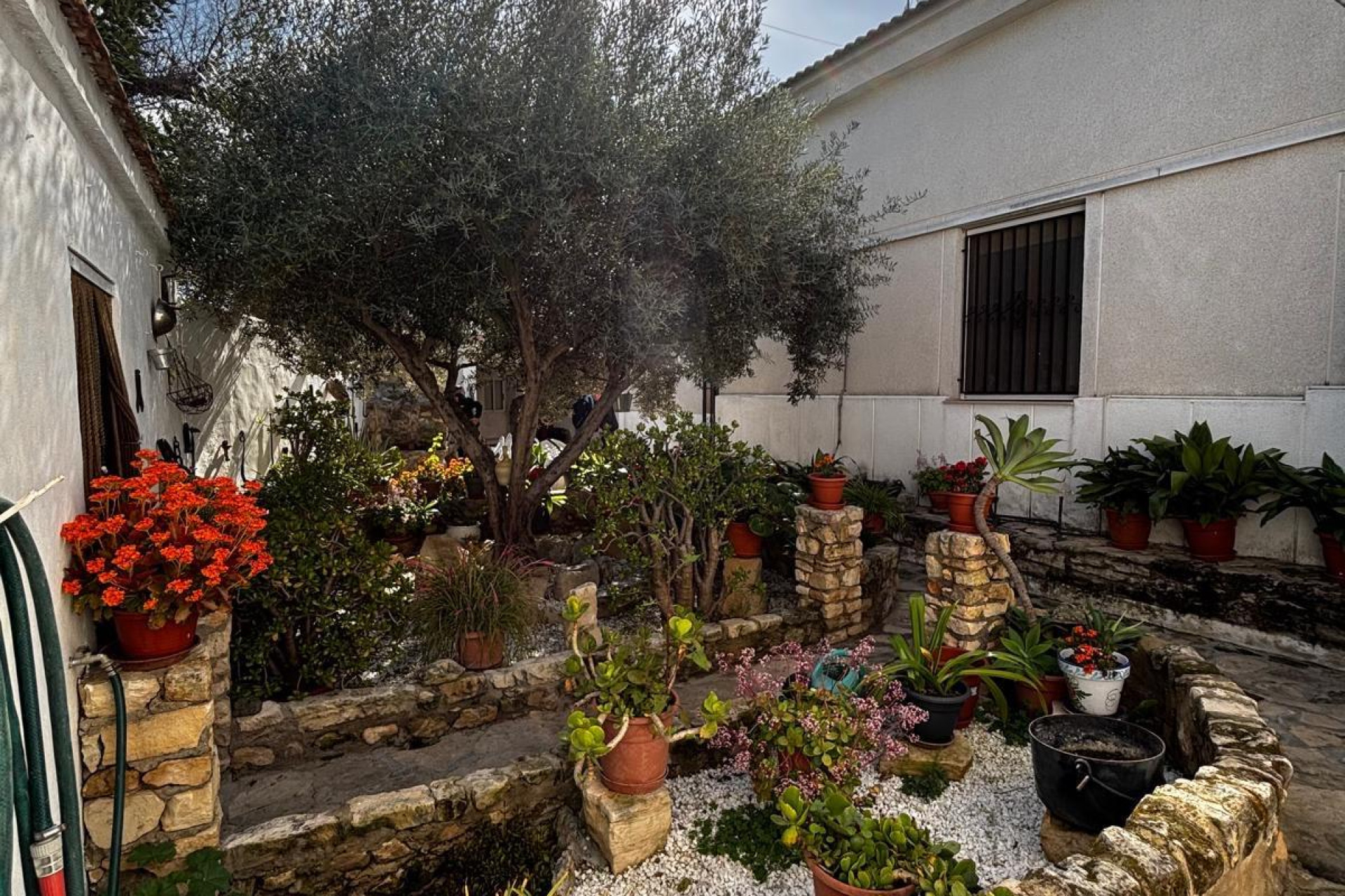 Wiederverkauf - Finca / Landgut - Benejúzar