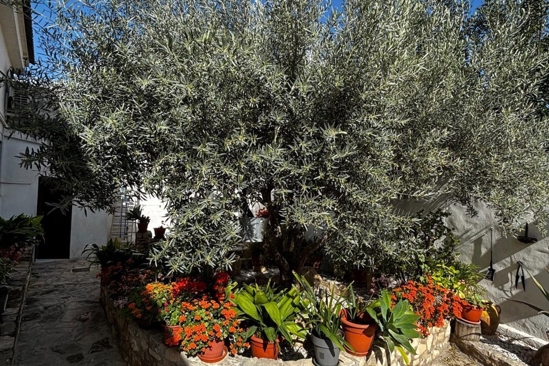 Wiederverkauf - Finca / Landgut - Benejúzar