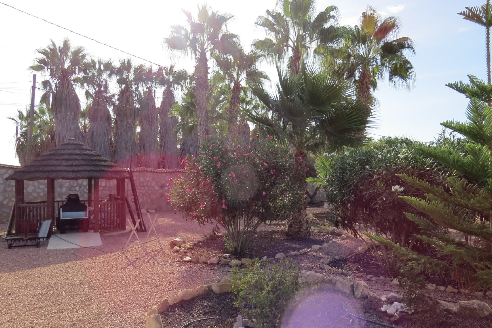 Wiederverkauf - Finca / Landgut - Guardamar del Segura - Daya Vieja