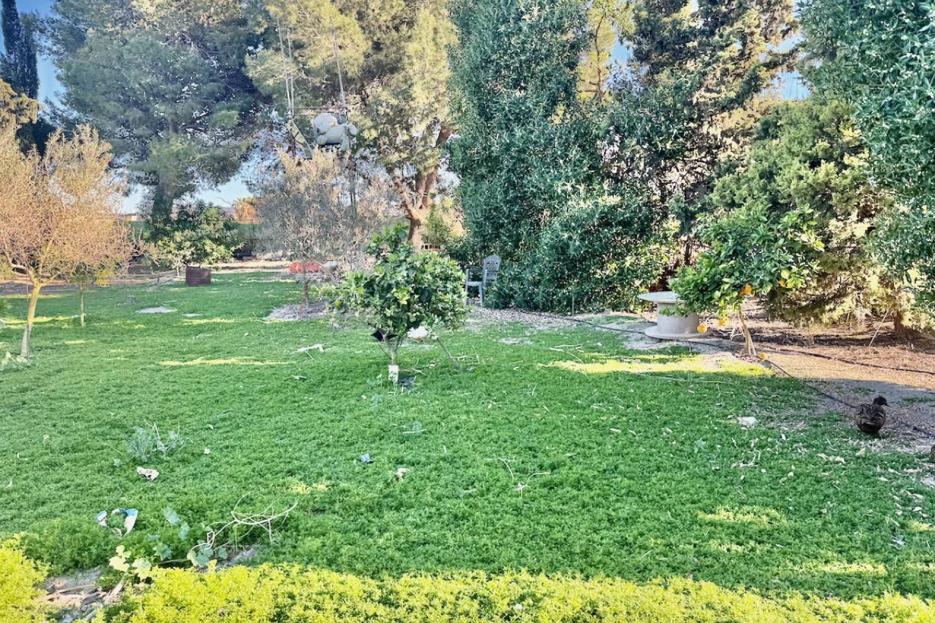 Wiederverkauf - Finca / Landgut - Guardamar del Segura - Guardamar Del Segura