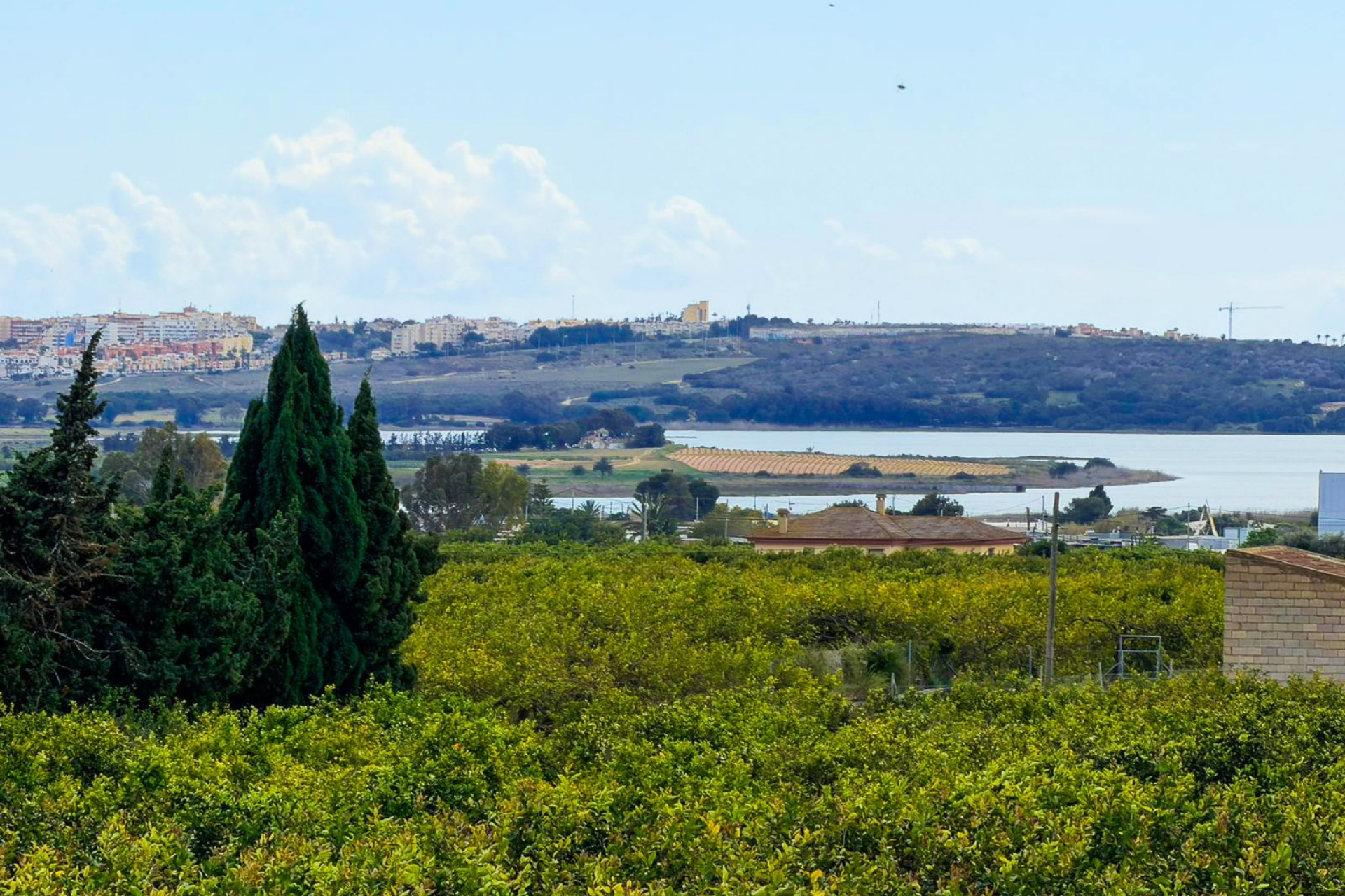 Wiederverkauf - Finca / Landgut - Guardamar del Segura - Guardamar