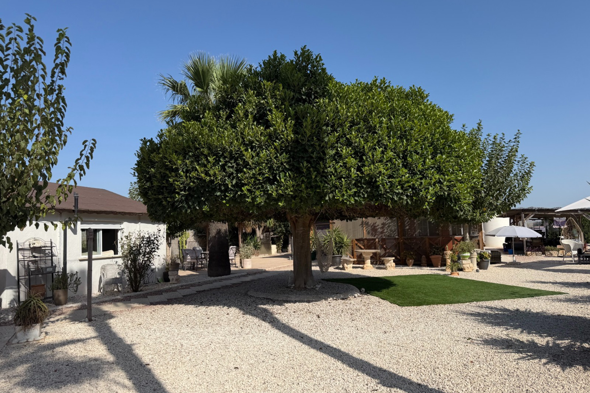 Wiederverkauf - Finca / Landgut - La Marina - Elche / Elx