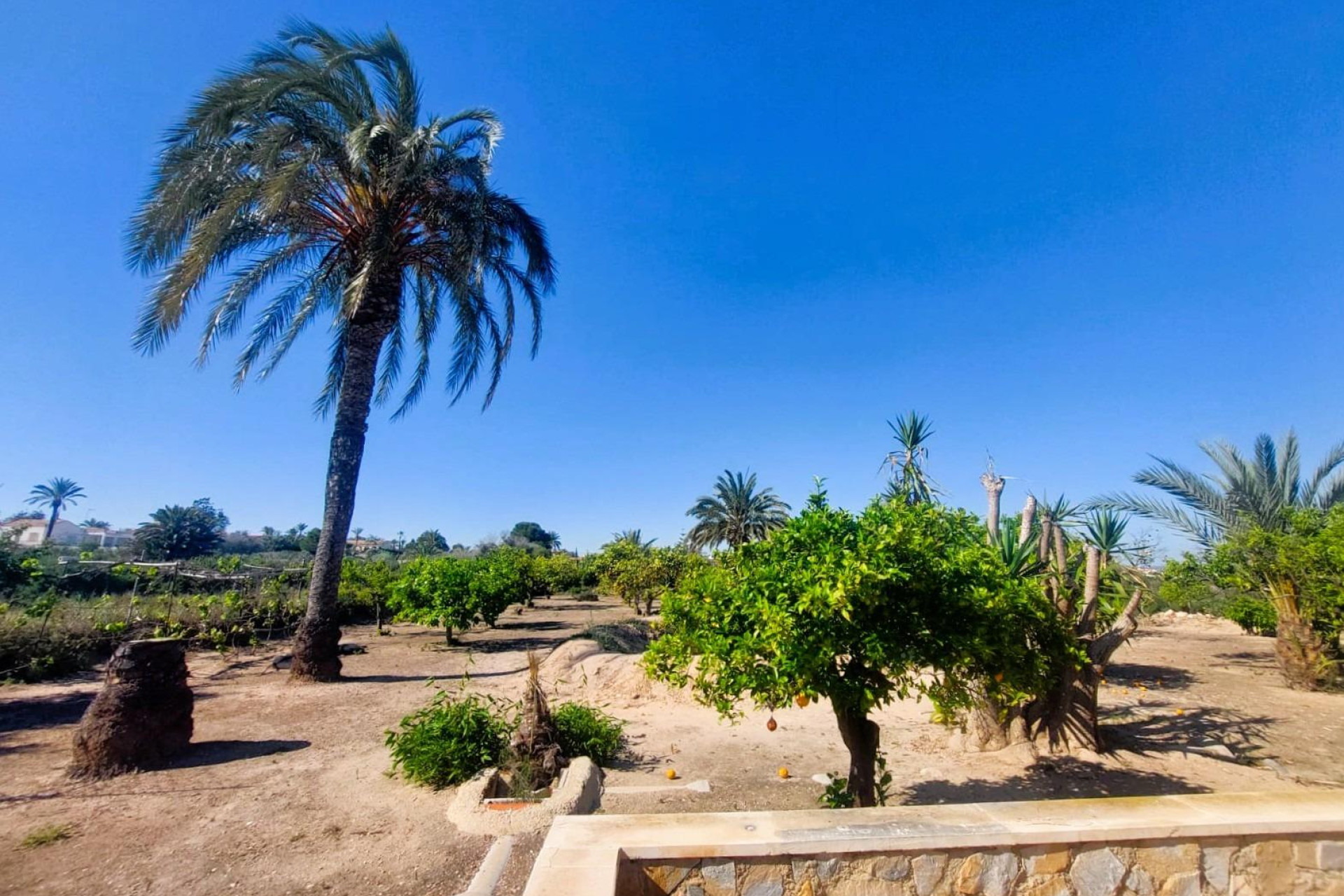 Wiederverkauf - Finca / Landgut - La Marina