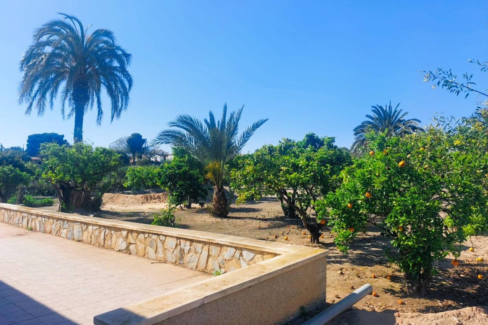 Wiederverkauf - Finca / Landgut - La Marina