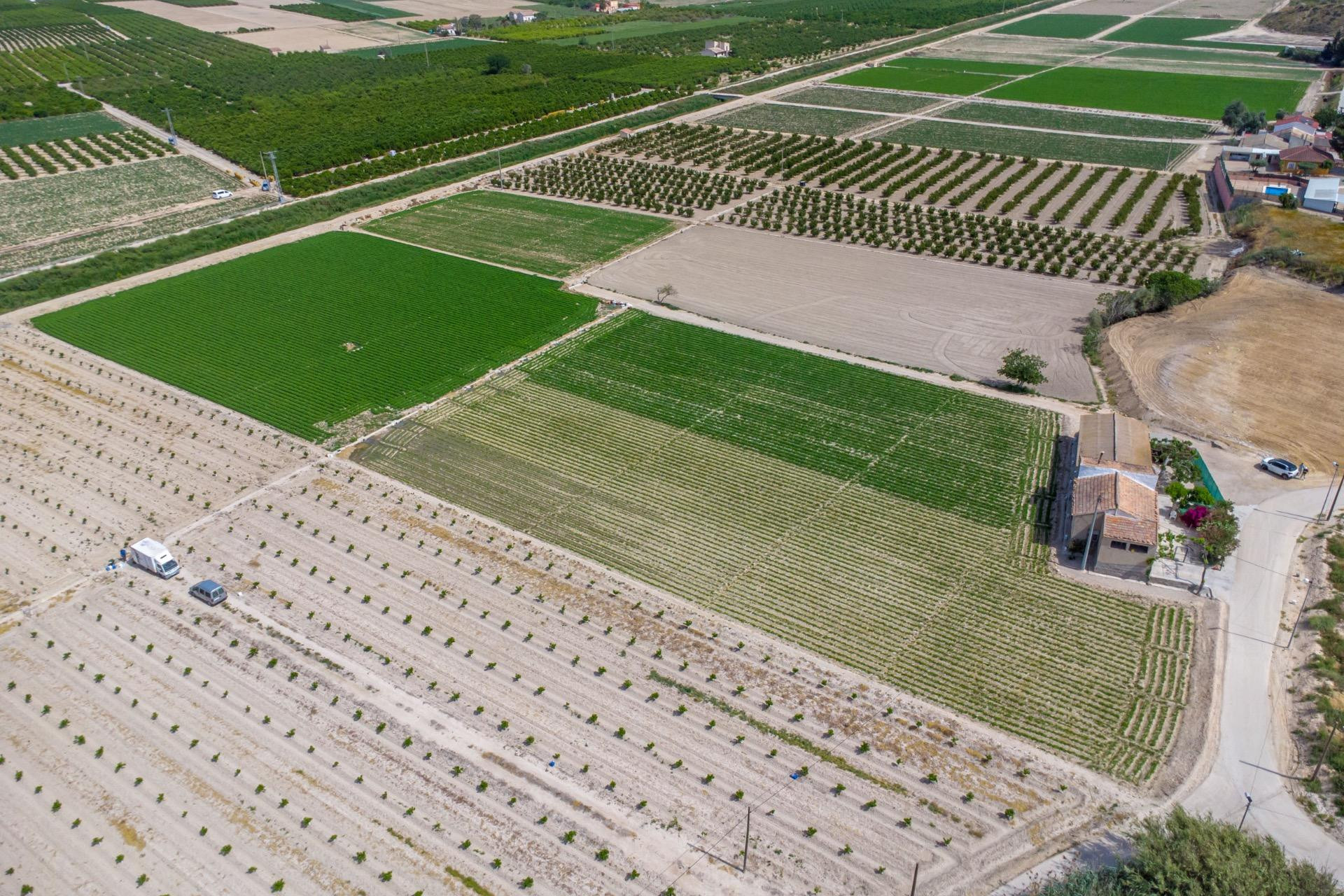 Wiederverkauf - Finca / Landgut - Orihuela - Desamparados-Hurchillo-Torremendo