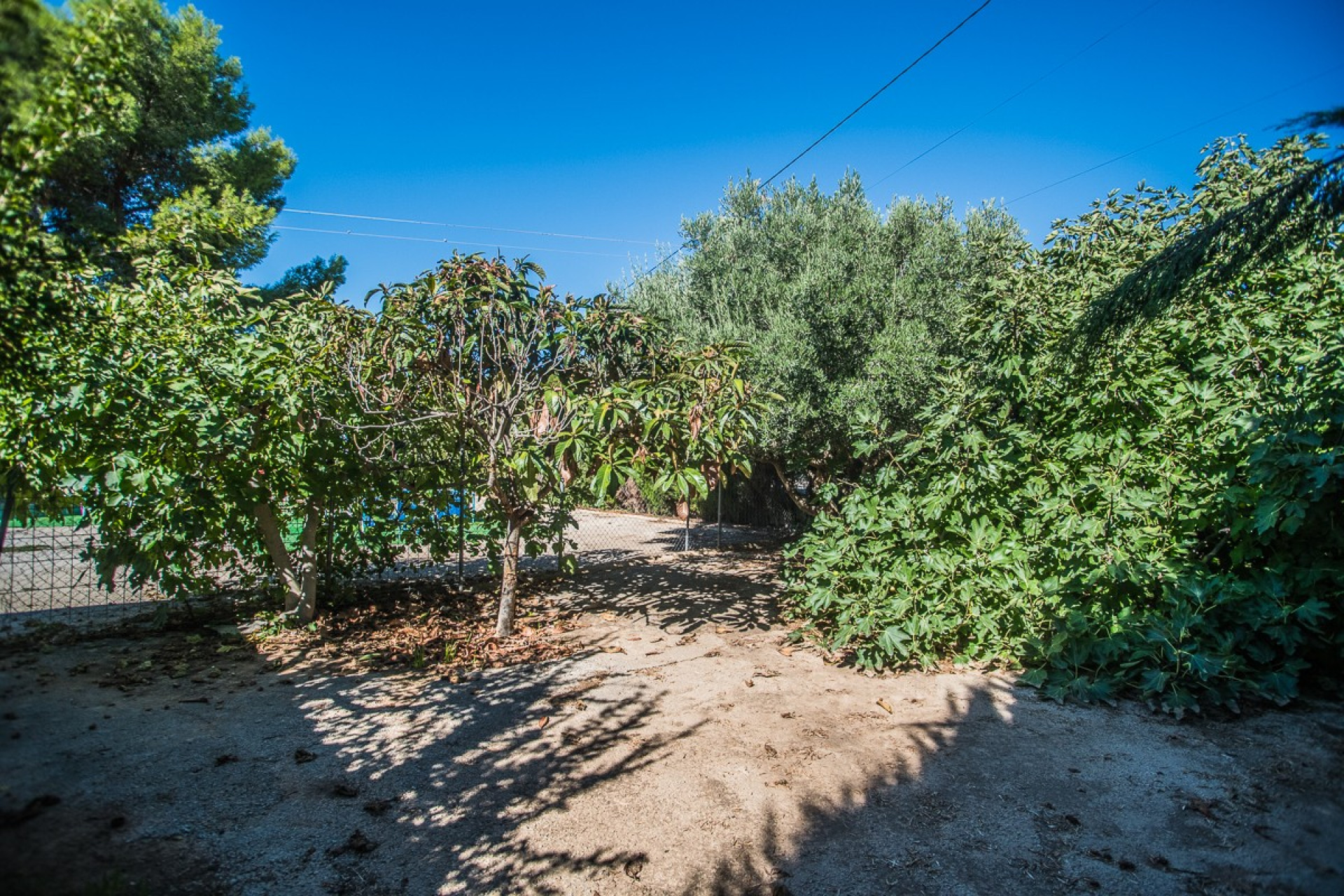 Wiederverkauf - Finca / Landgut - Orihuela - Redovan
