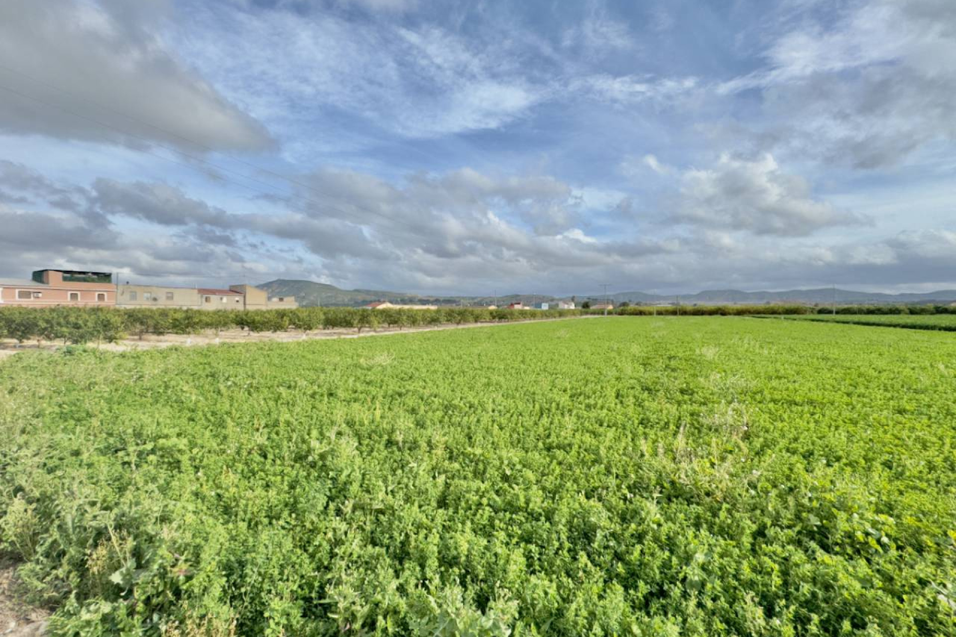 Wiederverkauf - Finca / Landgut - Orihuela