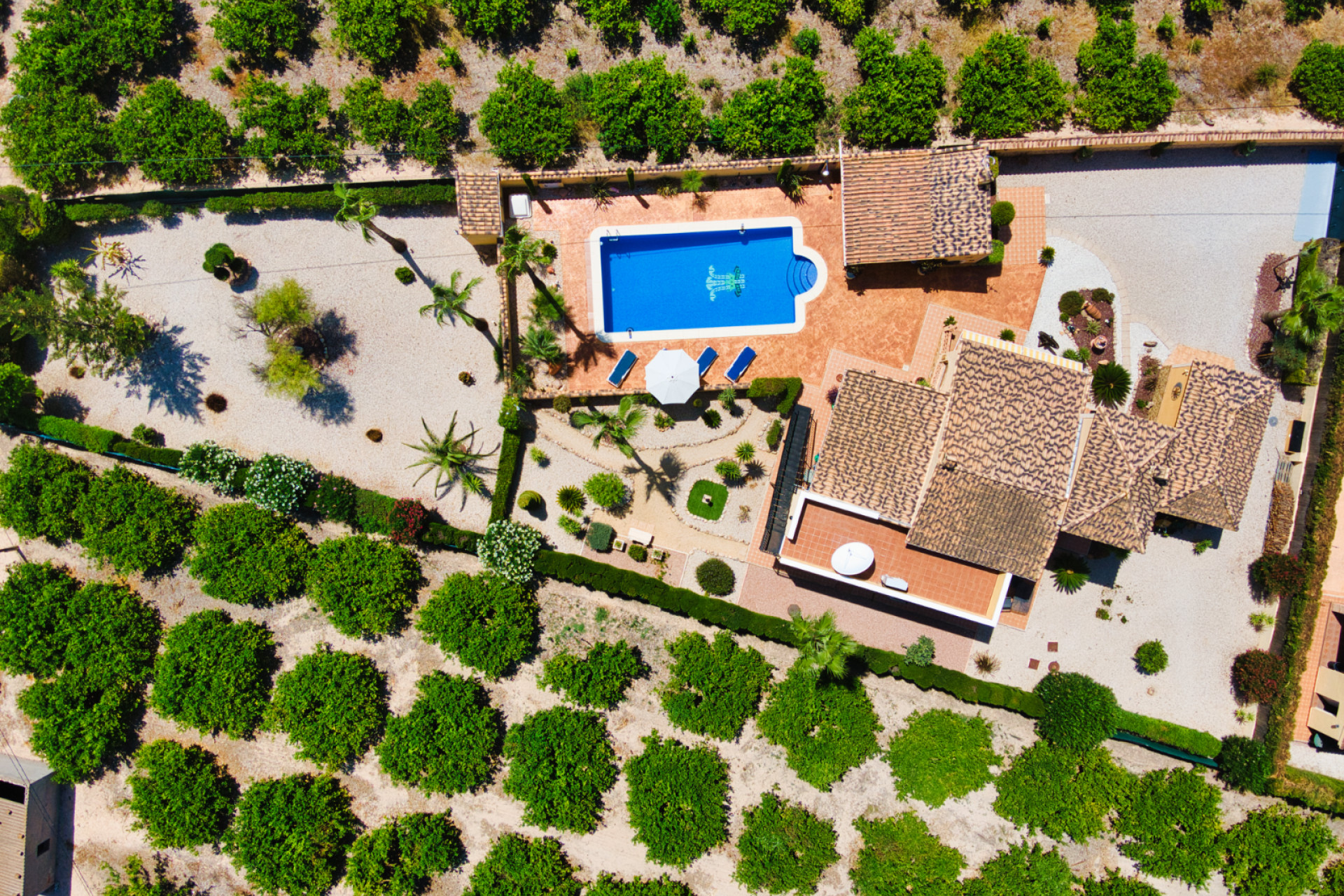 Wiederverkauf - Finca / Landgut - Orihuela