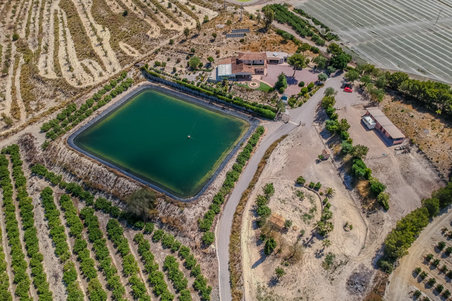 Wiederverkauf - Finca / Landgut - San Miguel de Salinas - Torremendo