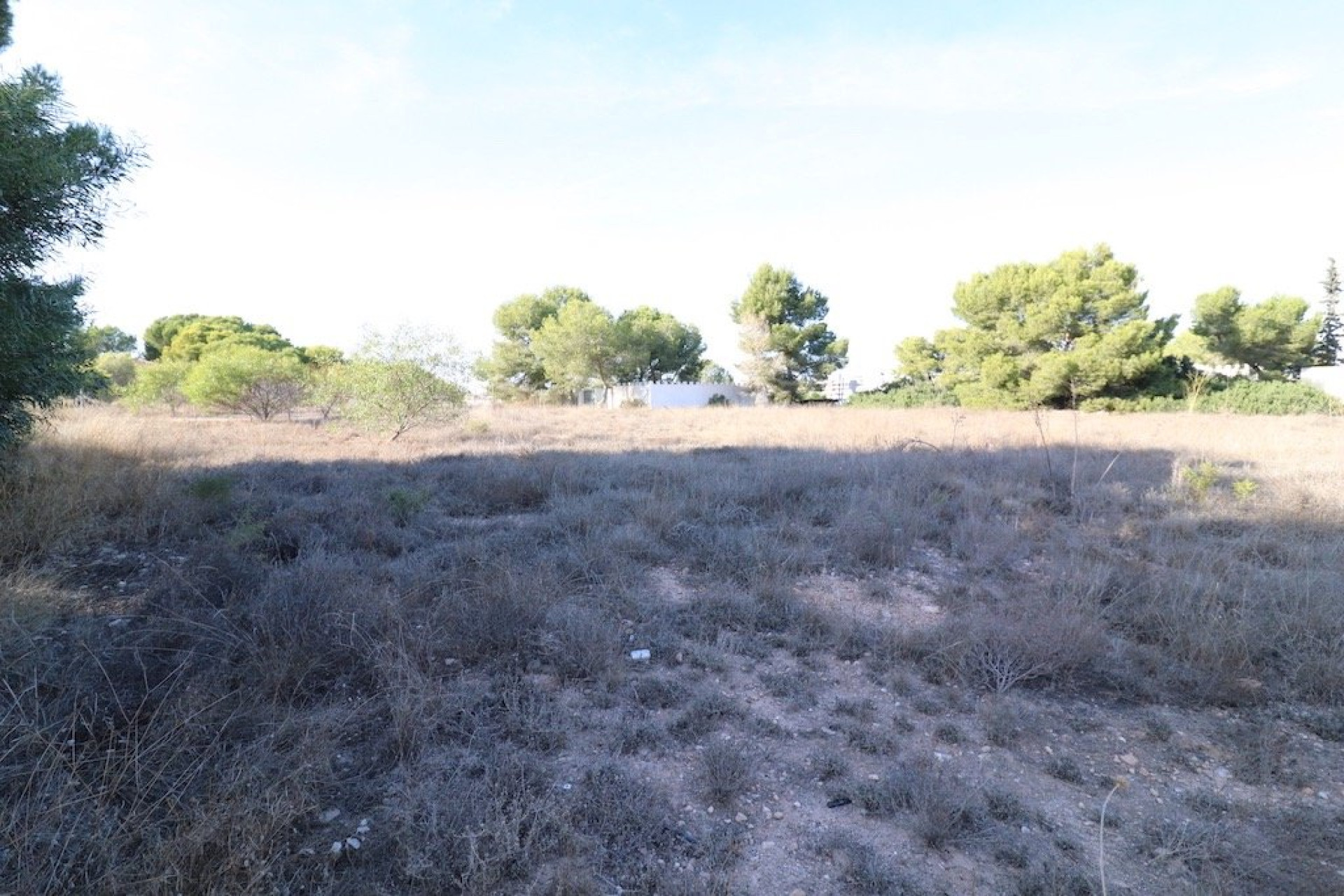 Wiederverkauf - Grundstück / Grundstück - Orihuela Costa - Lomas de Cabo Roig