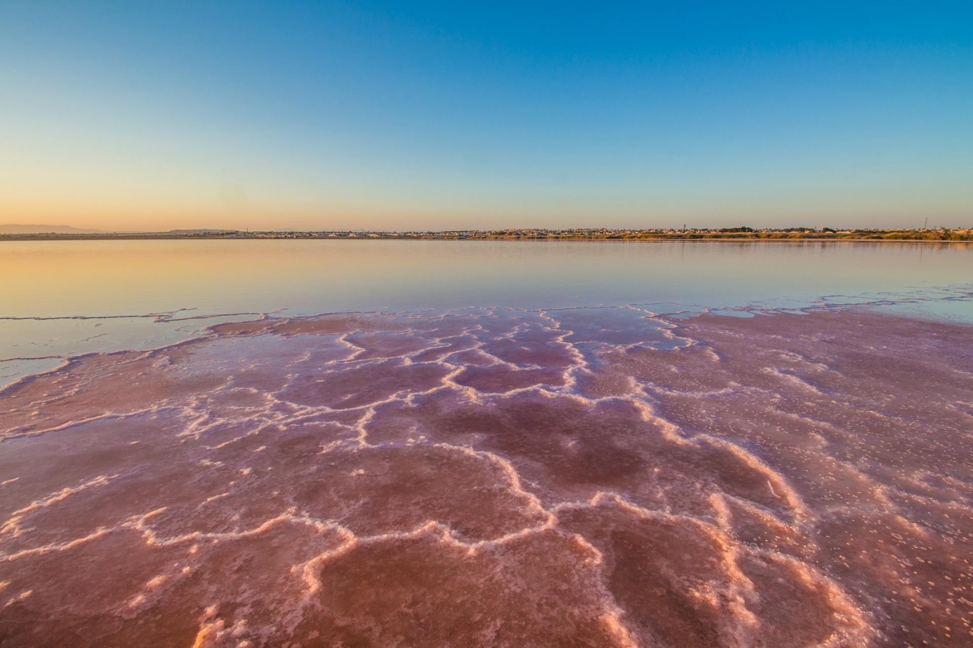 Wiederverkauf - Penthouse - Torrevieja - La Mata