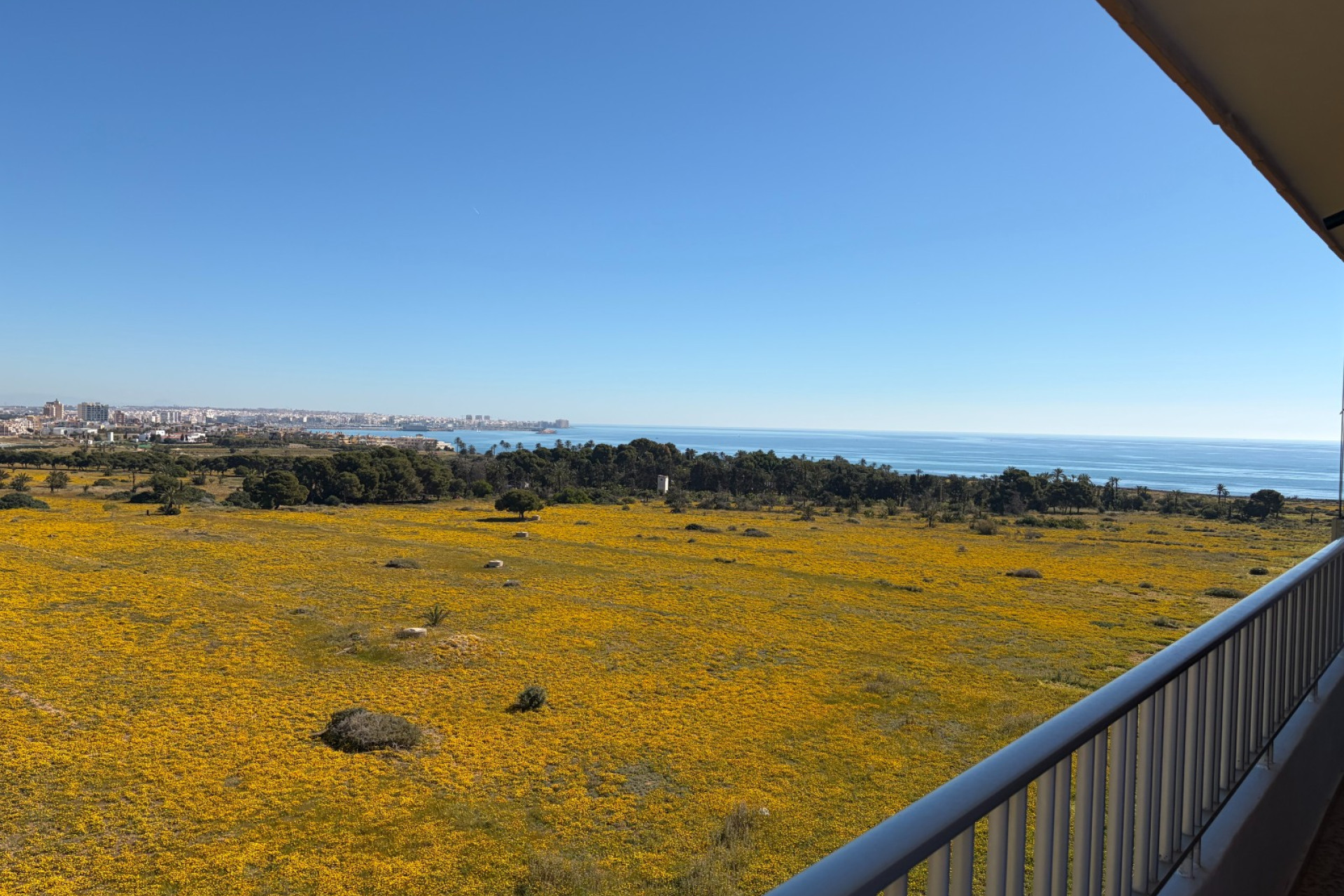 Wiederverkauf - Penthouse - Torrevieja - Punta Prima