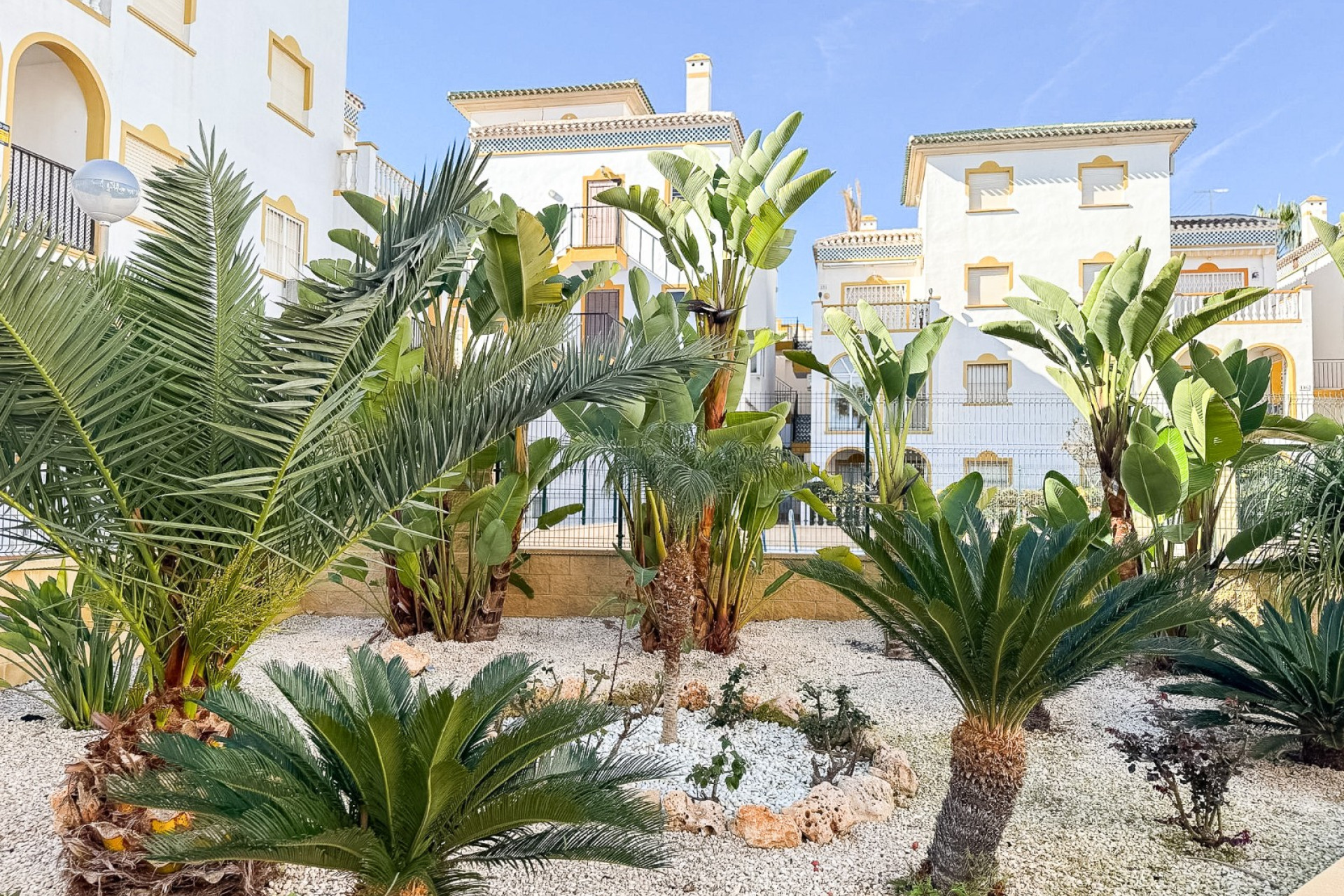Wiederverkauf - Penthouse - Torrevieja - Torrelamata - La Mata