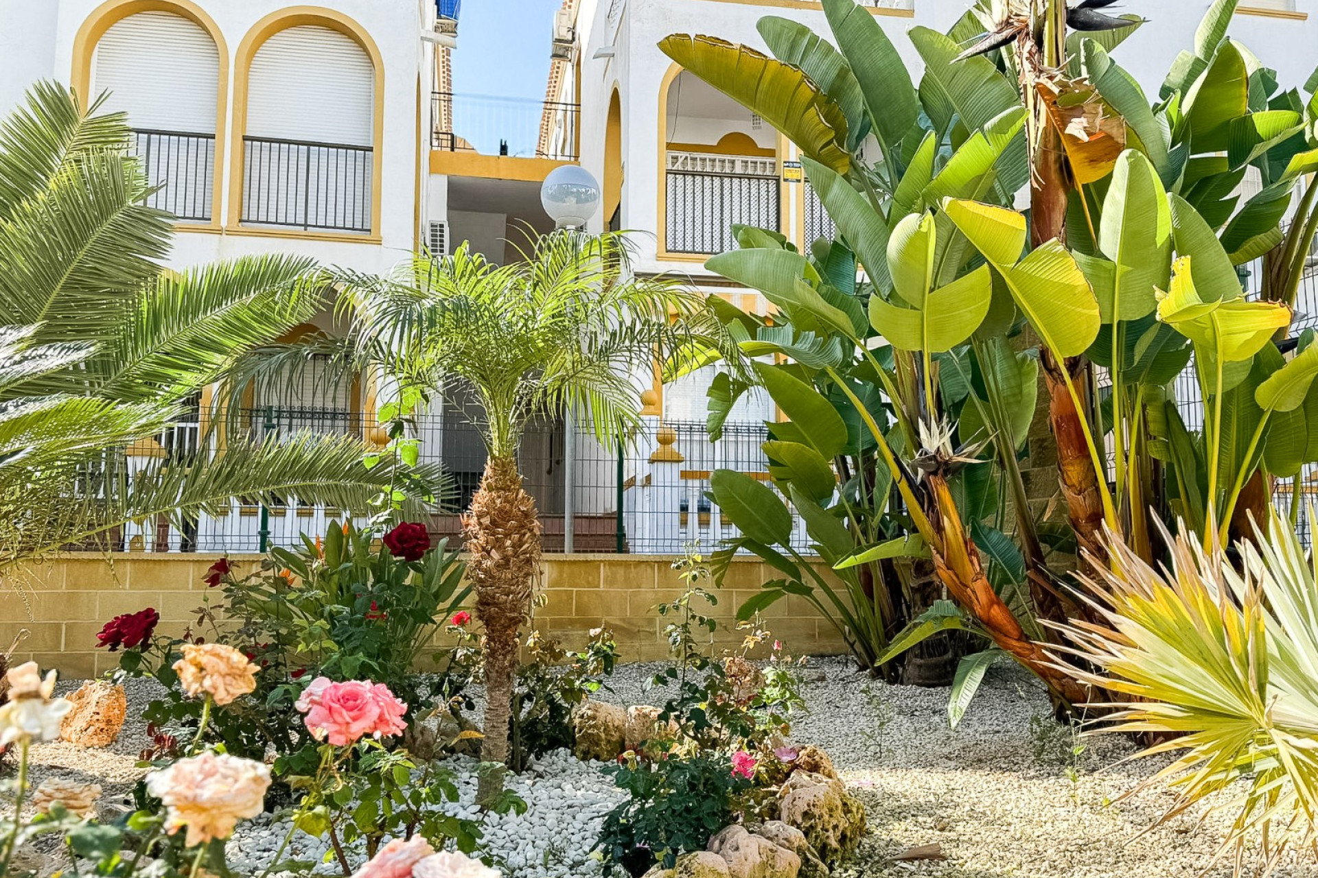 Wiederverkauf - Penthouse - Torrevieja - Torrelamata - La Mata